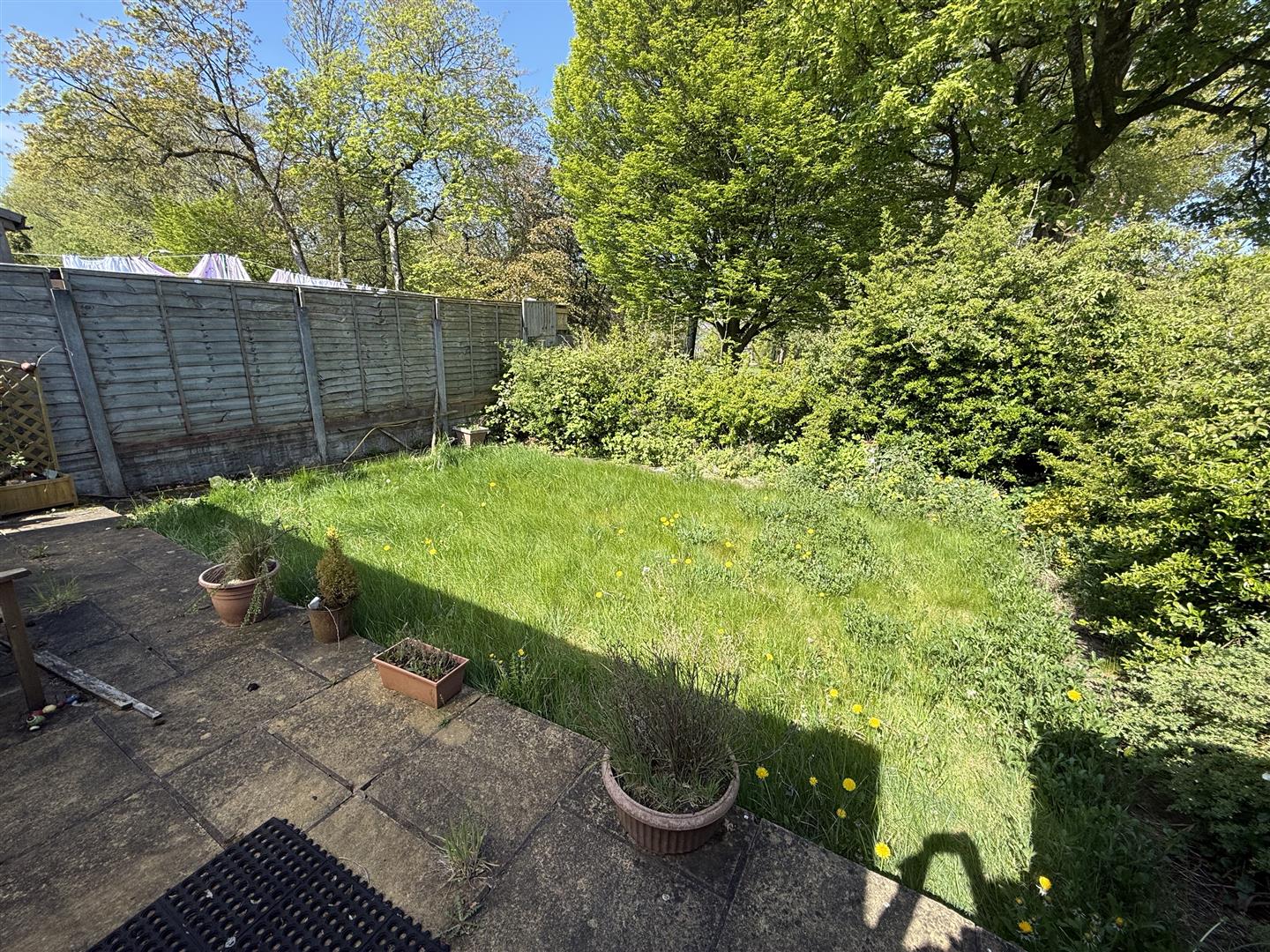 1 bed bungalow - semi detached, photo 3